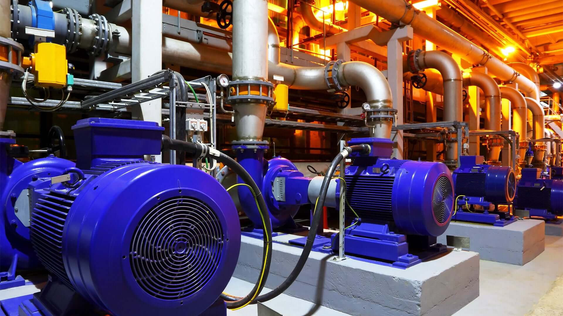 DT Inspection Services